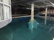Dauchdrubb U49 Indoor Diving 2017 - Aufkirchen